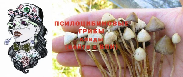 спайс Абдулино
